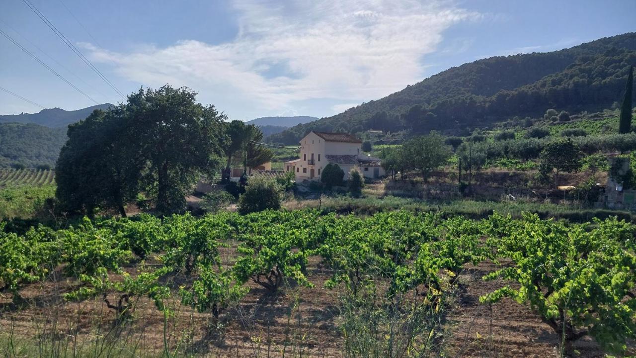 Holiday home Cal Marti El Pla de Manlleu