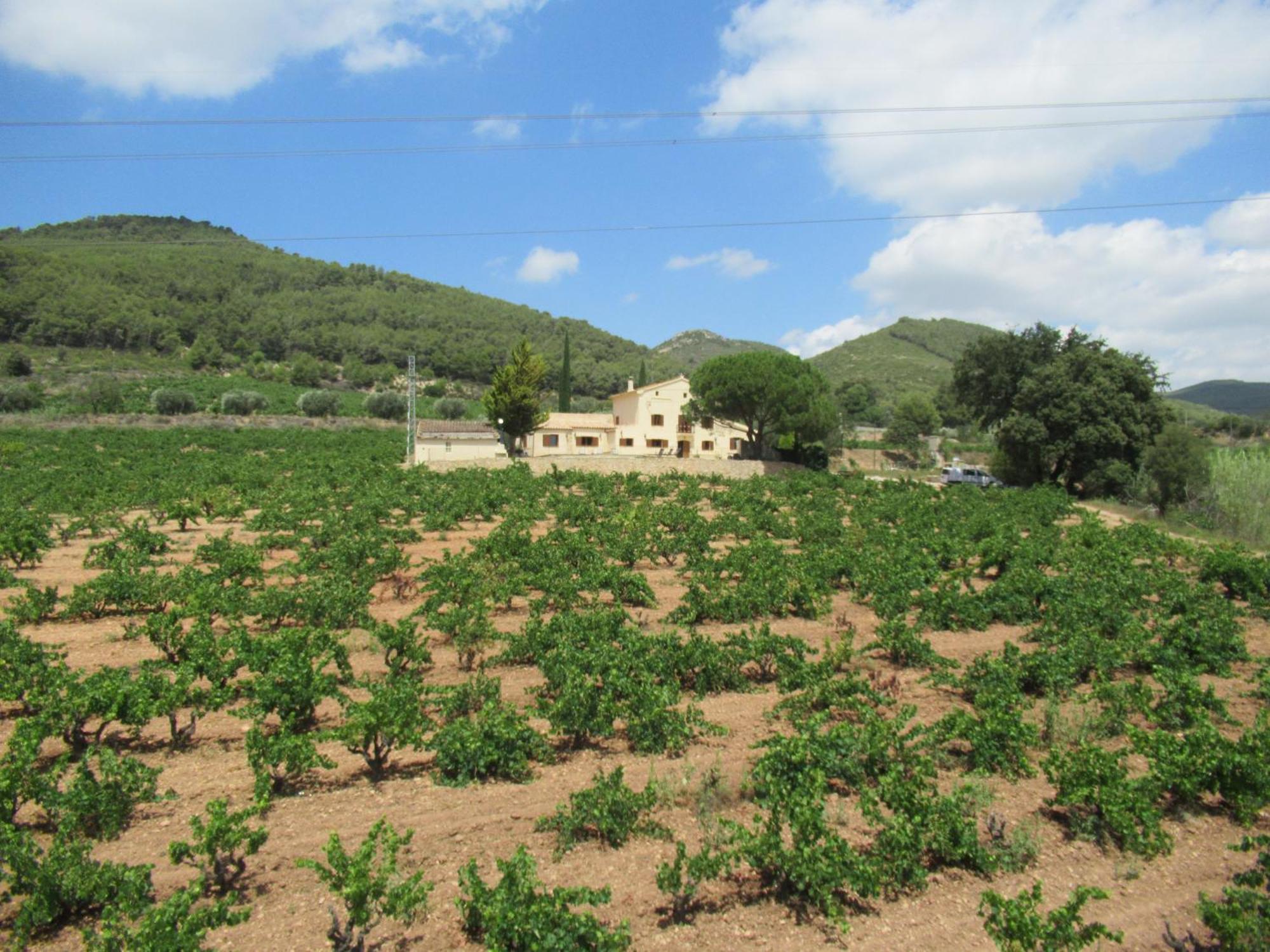 Holiday home Cal Marti El Pla de Manlleu
